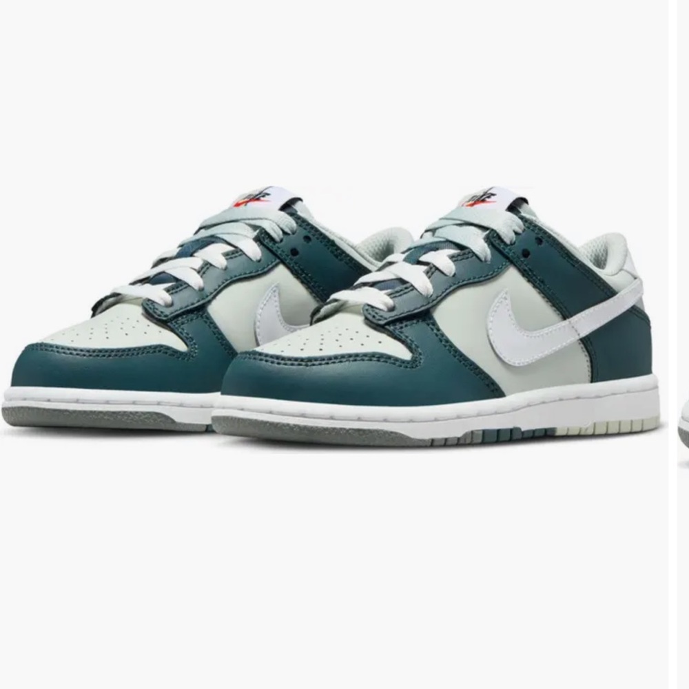 Nike Dunk Low Basketball Shoes size 13c